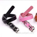 teddy poodle small wholesale pet dog collar